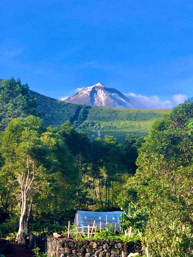 Quinta Pereirinha: Oceanview Farm Retreat Villa Sao Roque do Pico Exterior photo